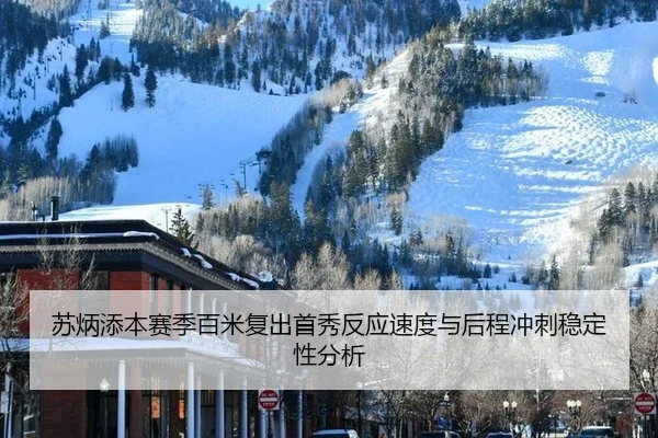 su-bing-tian-ben-sai-ji-bai-mi-fu-chu-shou-xiu-fan-ying-su-du-yu-hou-cheng-chong-ci-wen-ding-xing-fen-xi-2-991.jpg