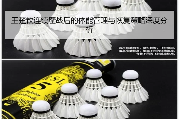 王楚钦连续鏖战后的体能管理与恢复策略深度分析